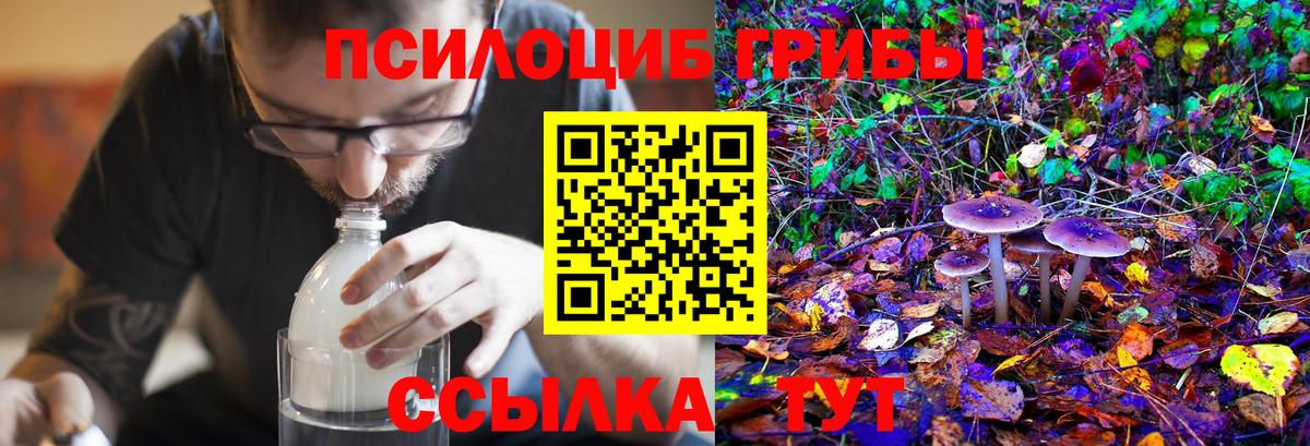 Кодеин  А ПВП СК кристаллы  Cocaine  Вязники  Меф   Канабис  ГАШИШ  Гашиш  Вход с VPN 