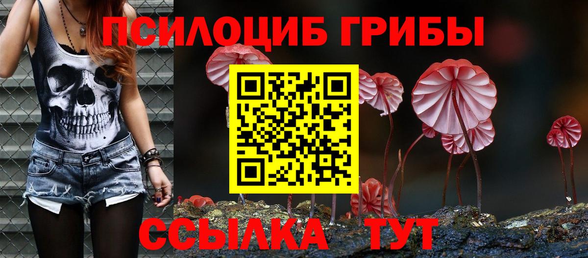 Псилоцибиновые грибы GOLDEN TEACHER  Вход с VPN  Вязники 