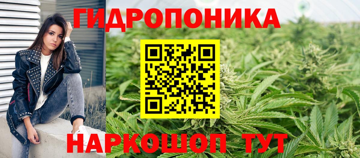 Бошки марихуана конопля  Каннабис AK-47  Канабис гибрид  Вязники  Вход с VPN  Каннабис LSD WEED 